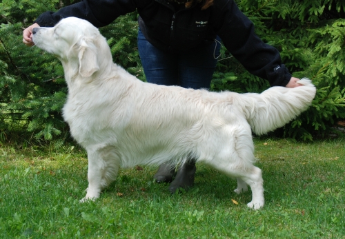onni